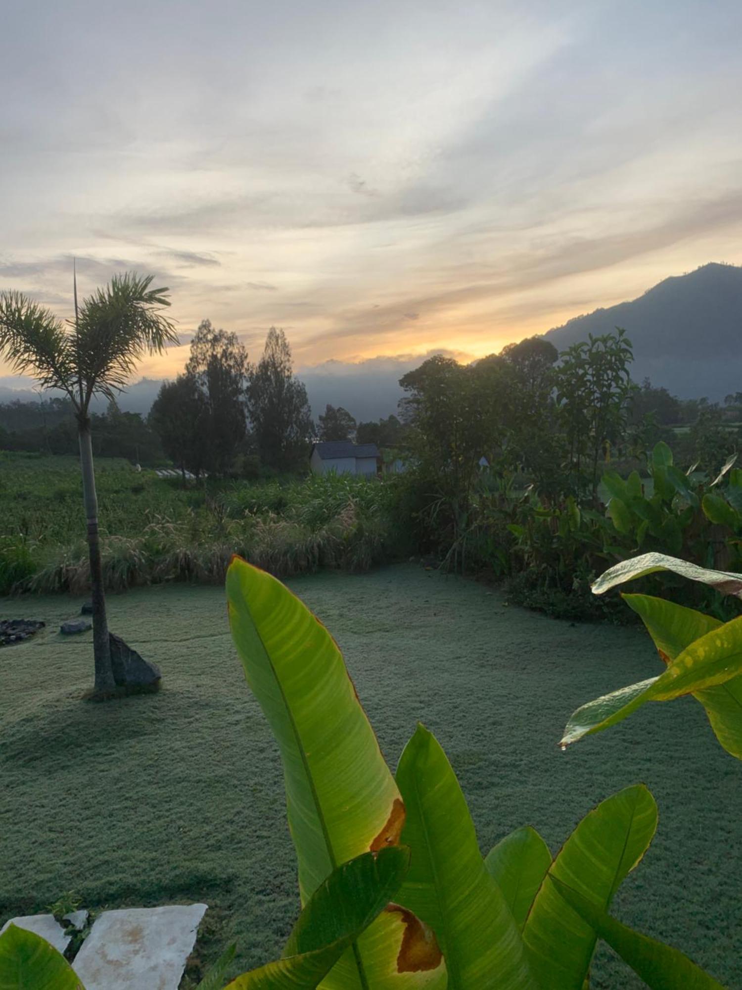 Bali Lesung Hotel Kintamani Exterior foto